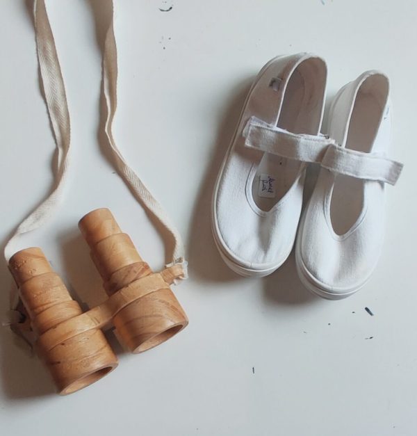 Guillerminas mimo T31