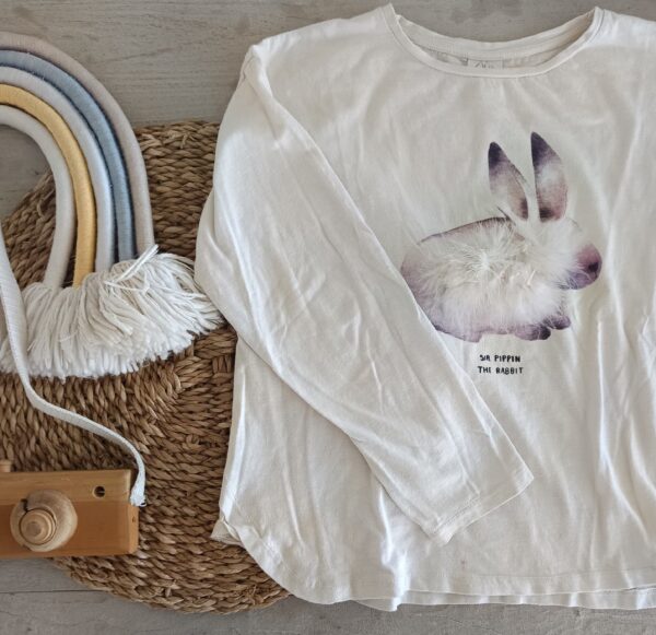 Remera Zara T10